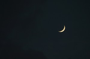 2576782632_7014da90be